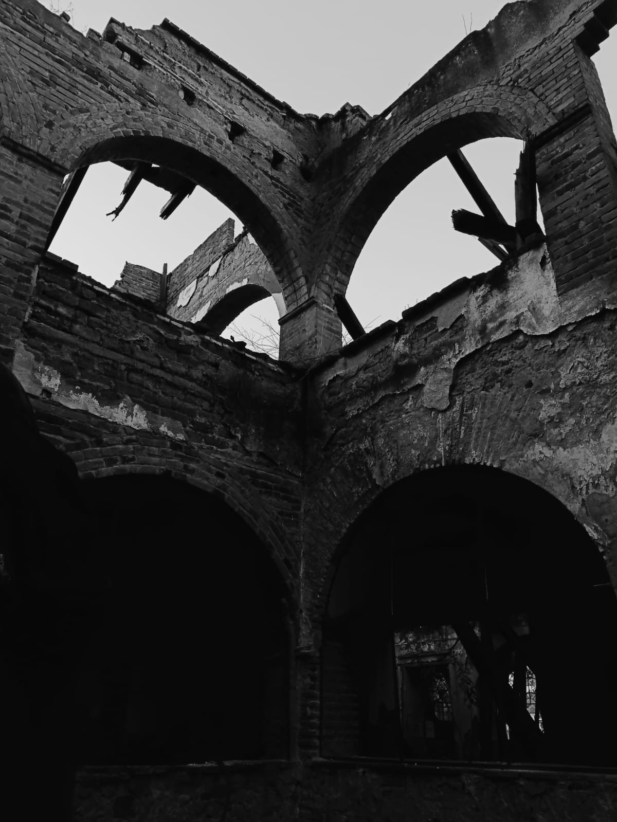 Fotografía de Producto con Estilo - [Nombre]